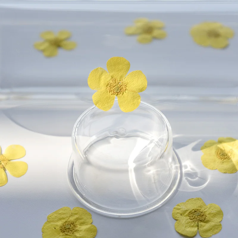 100個入り ランナンキュリウム ドライフラワー プレスドプ - Dried Flower Bookmark のレビューと価格